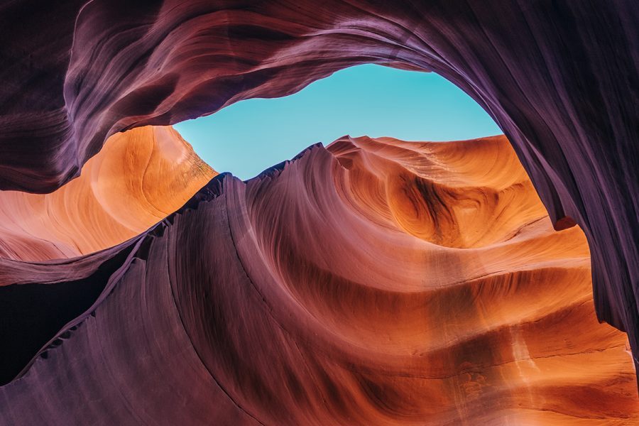 gallery8-900x600